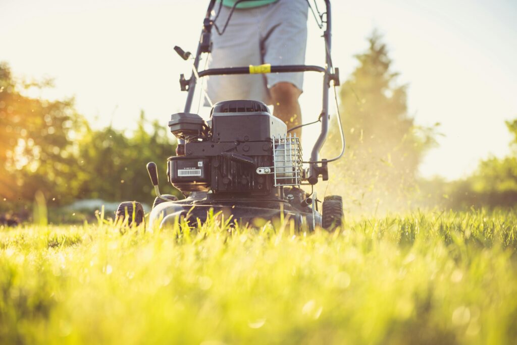 golf green mower